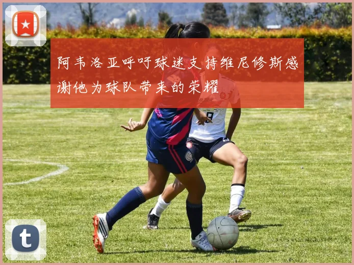 阿韦洛亚呼吁球迷支持维尼修斯感谢他为球队带来的荣耀